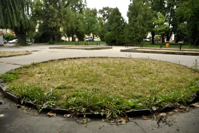 (Asi) pískoviště