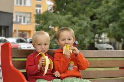 Banány