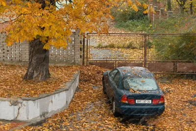 Ranní chumelenice