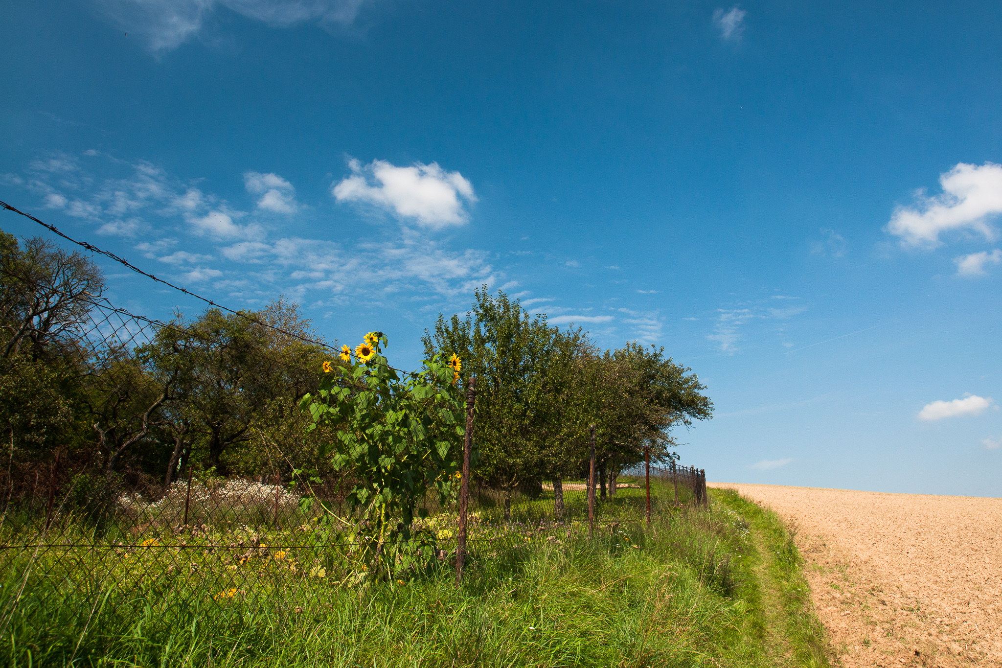 Baboletní idylka
