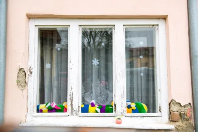 Divíme se v Divišově čtvrti 1: za oknem je stonožka