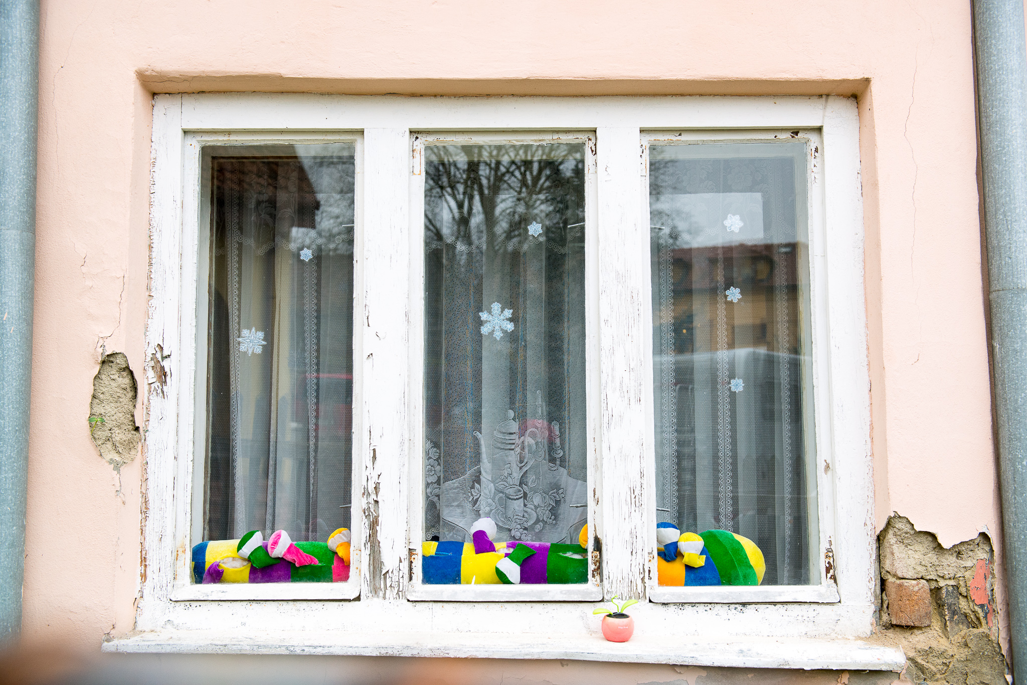 Divíme se v Divišově čtvrti 1: za oknem je stonožka