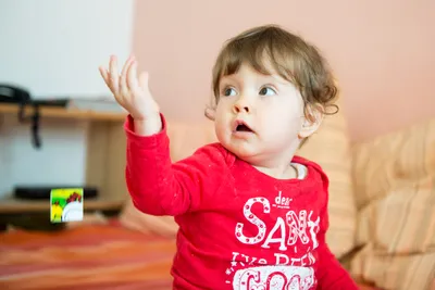Bác!