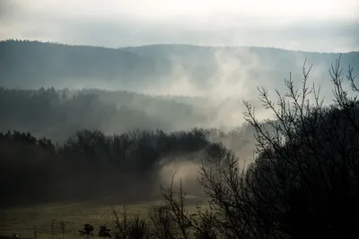 Pára nad oborou