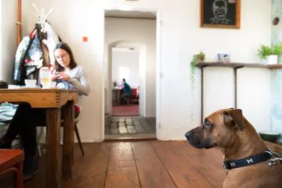 Do Kafary jsme nakonec málem nešli, protože se nám to zvenku moc nezdálo - ale to by byla velká chyba!