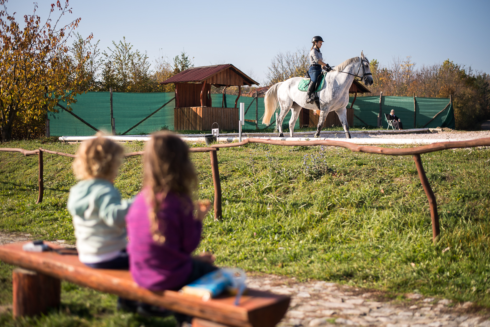 Děti koukají na koně, tatínek zase na jezdkyně