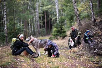 Velká výprava do bájné houbařské lokality nad tratí u Mstišova
