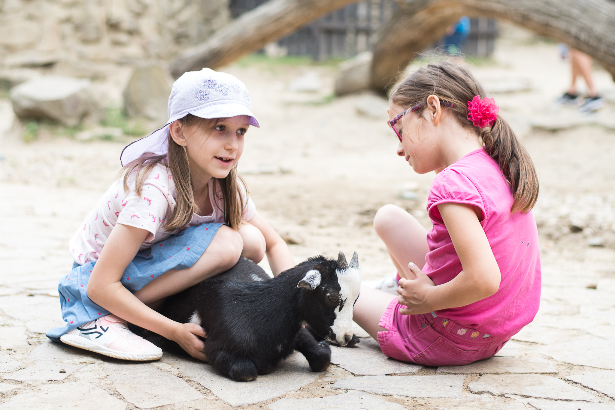 Dětská ZOO je hit
